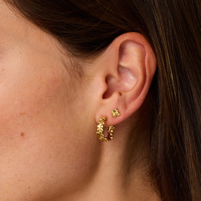 Agapée | Laura Earrings - Gold