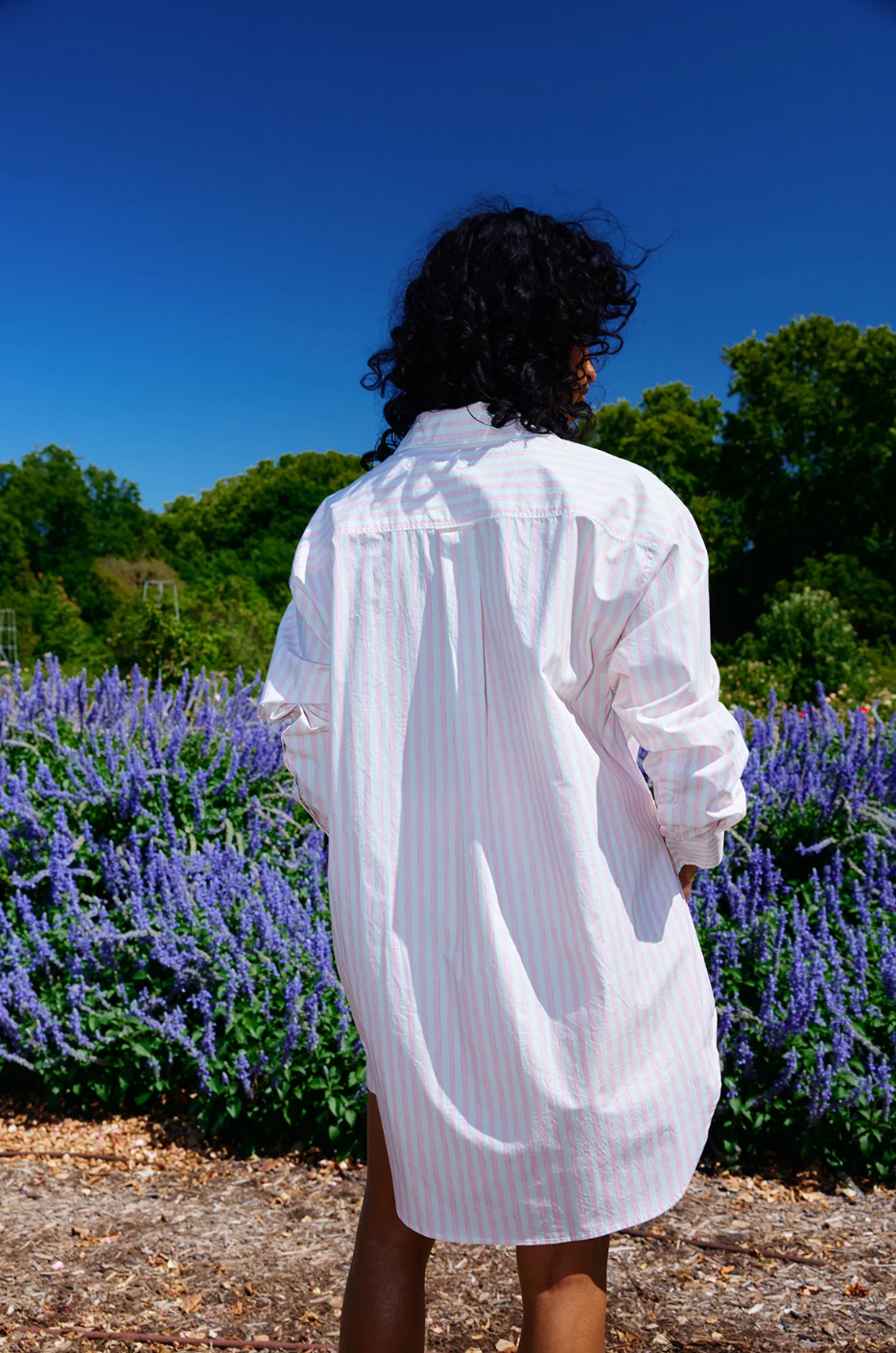 Aston Studio | Buddy Shirt - Baby Rose Stripe
