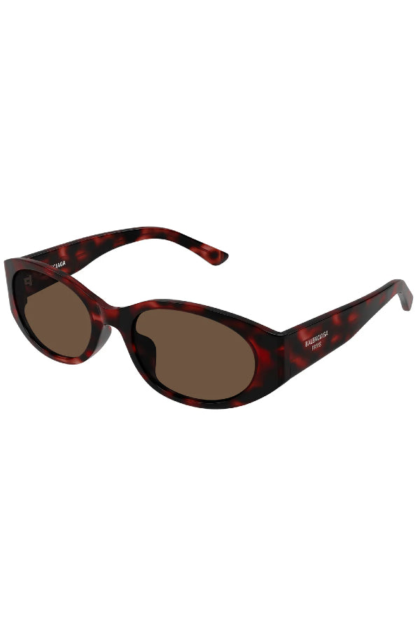 Balenciaga | Oval Frame - Berry Havana